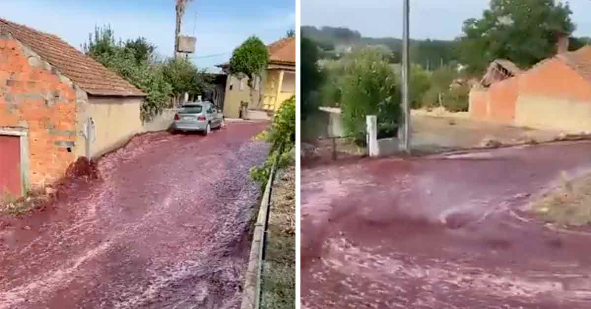 2,000,000 Liters of Red Wine Flood Small Portuguese Town