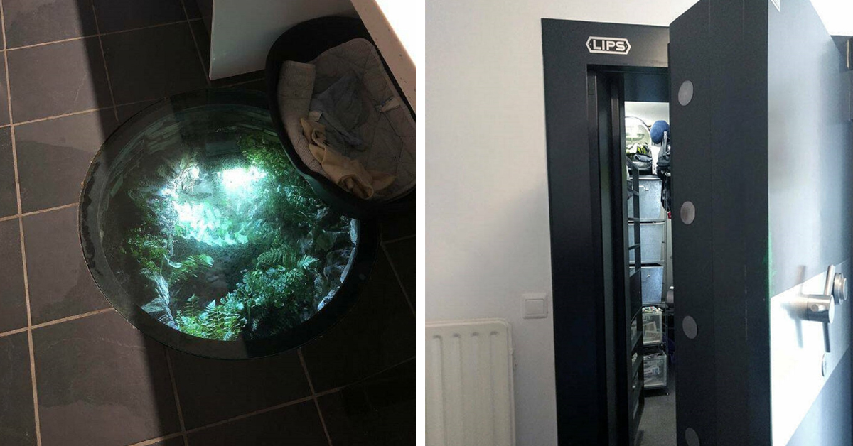 33 Hidden Treasures People Found in Their Homes