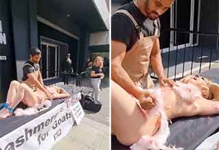 PETA’s New ‘Cashmere Is Torture’ Stunt Makes Animal Cruelty Way Too Sexy