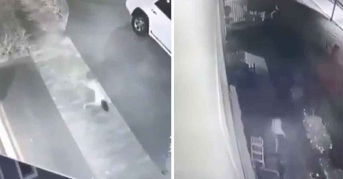 CCTV Captures Naked Person Scurrying On All Fours In the Middle of the Night