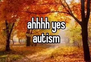 ahh yes autism