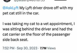 <p dir="ltr">One Texas pet owner&rsquo;s worst nightmare became a reality over the weekend when a Lyft driver drove away with his cat while on his way to the vet.</p>