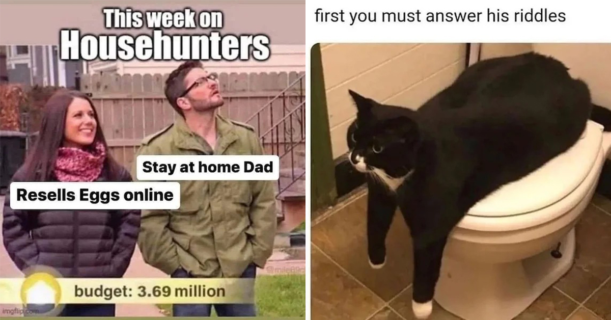 44 Cool Photos and Memes To Take Up Your Time