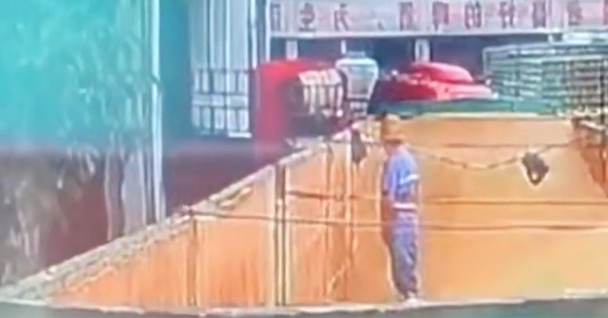 'That's How You Make Heineken': Factory Worker Caught Pissing Into Tank of Tsingtao