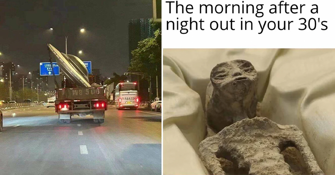 49 Fresh Pics and Memes to Spend the Day With