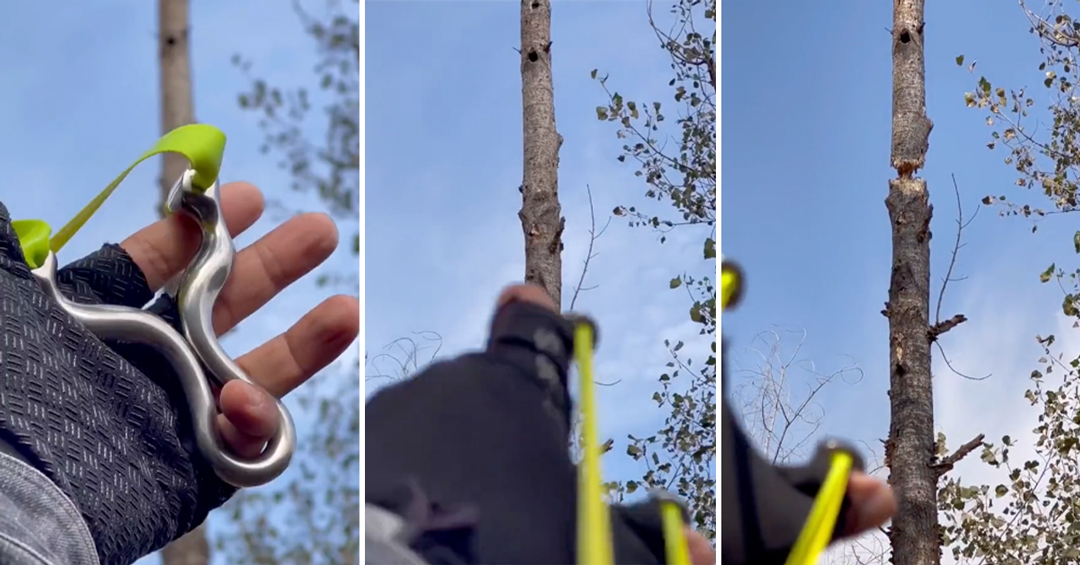 Watch a Man Chop Down a Tree Using Just a Slingshot