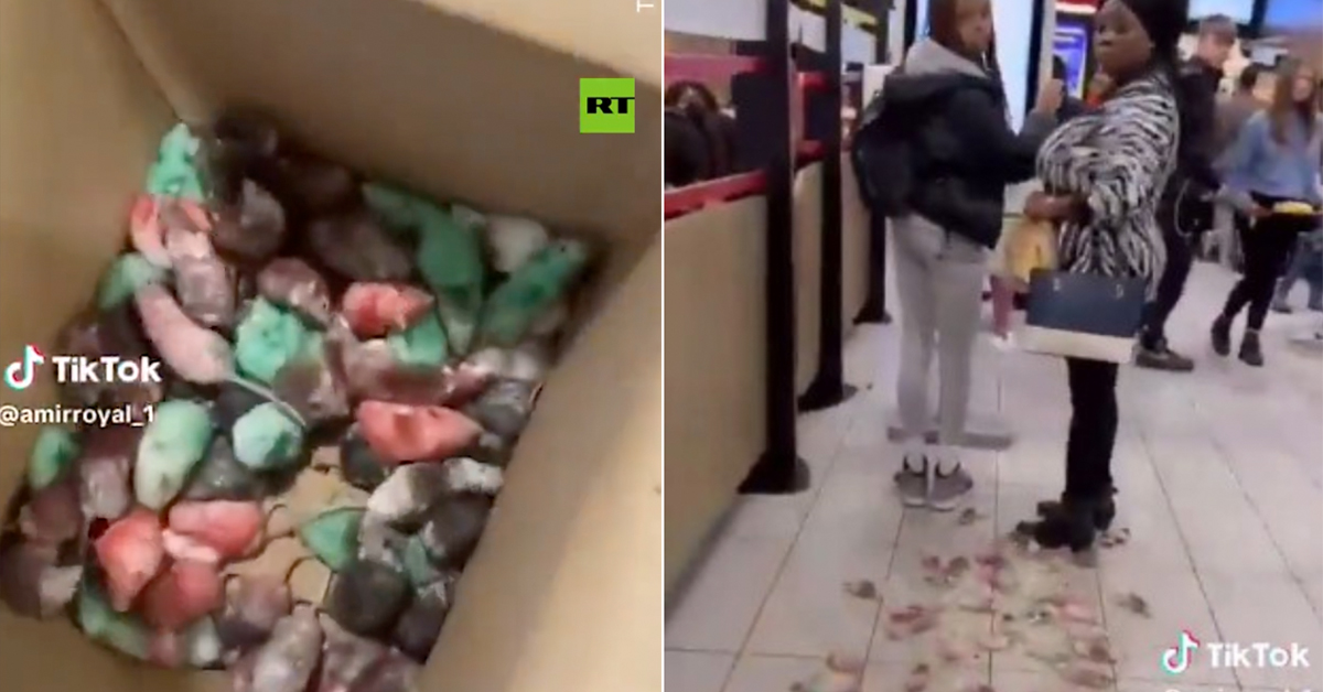 'Would You Like Mice With That?': Protesters Dump An Entire Box of Mice Inside British McDonald’s