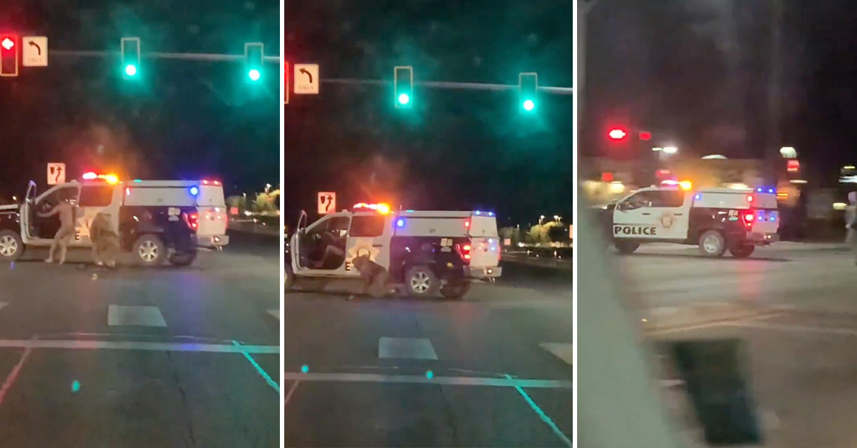 'What In the GTA?': Nude Man Beats Up Cop and Steals His Car On the Las Vegas Strip