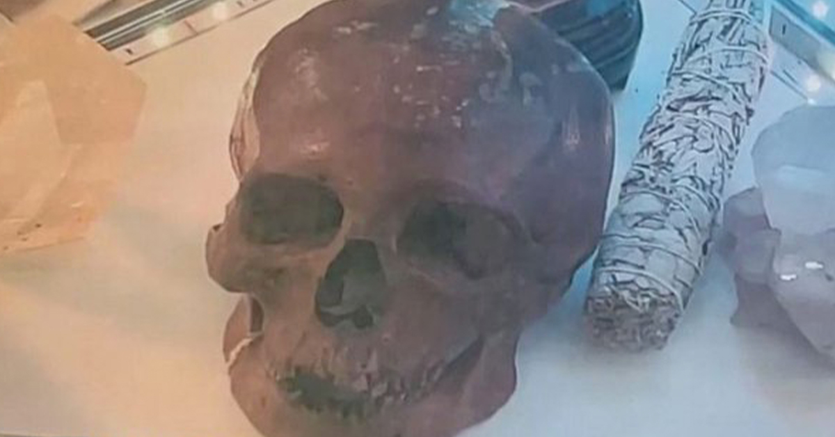 Another Human Skull Found in Secondhand Shop, This Time in Florida