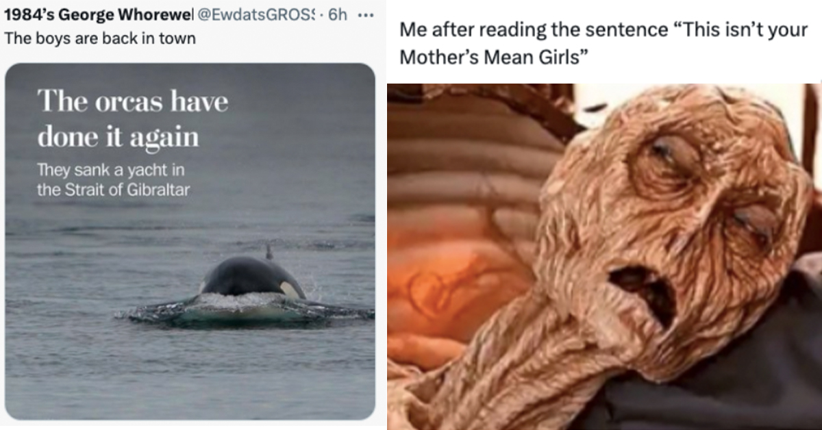 22 of the Funniest Tweets From Today November 9, 2023