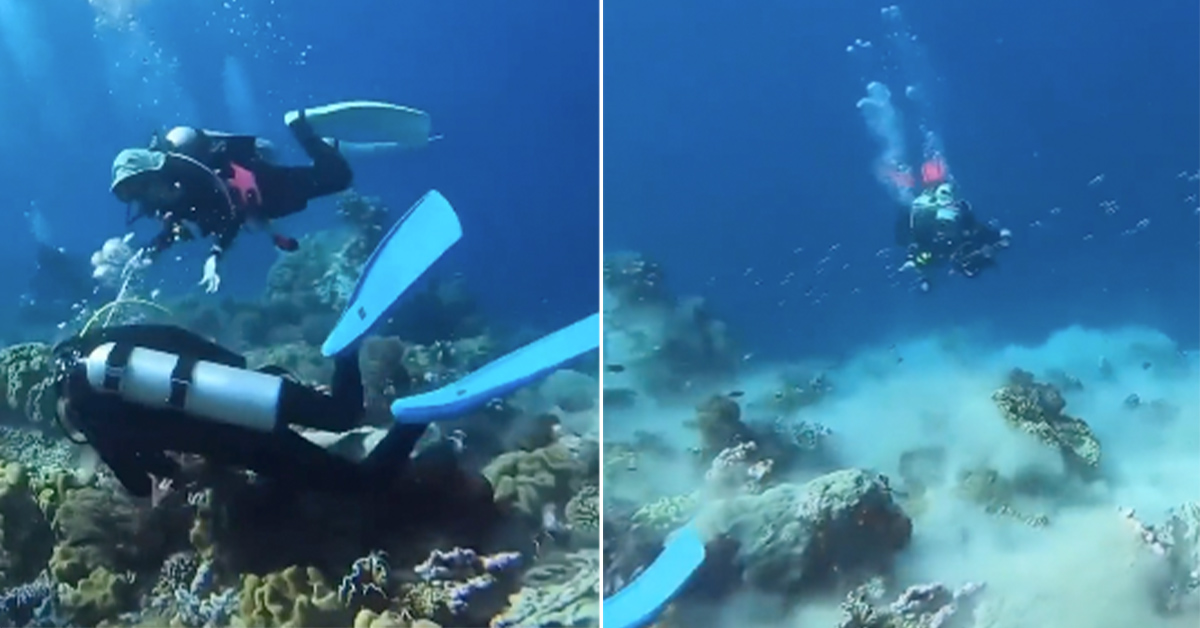 Scuba Diving During an Earthquake Is Terrifying