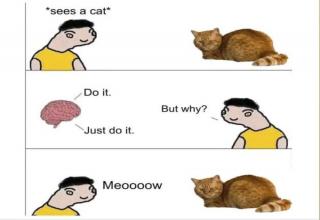 20 Respectful Memes That Will Treat You Right - Funny Gallery eBaum's