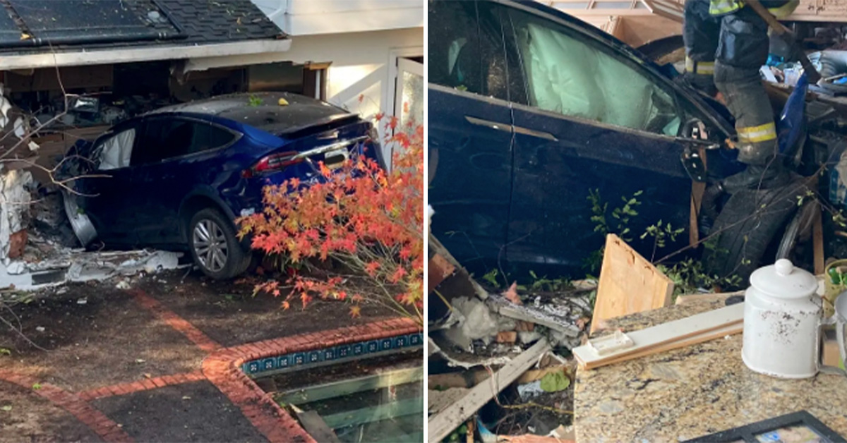 California Tesla Driver Spreads Wings, Flies Over Pool and Crashes Into House