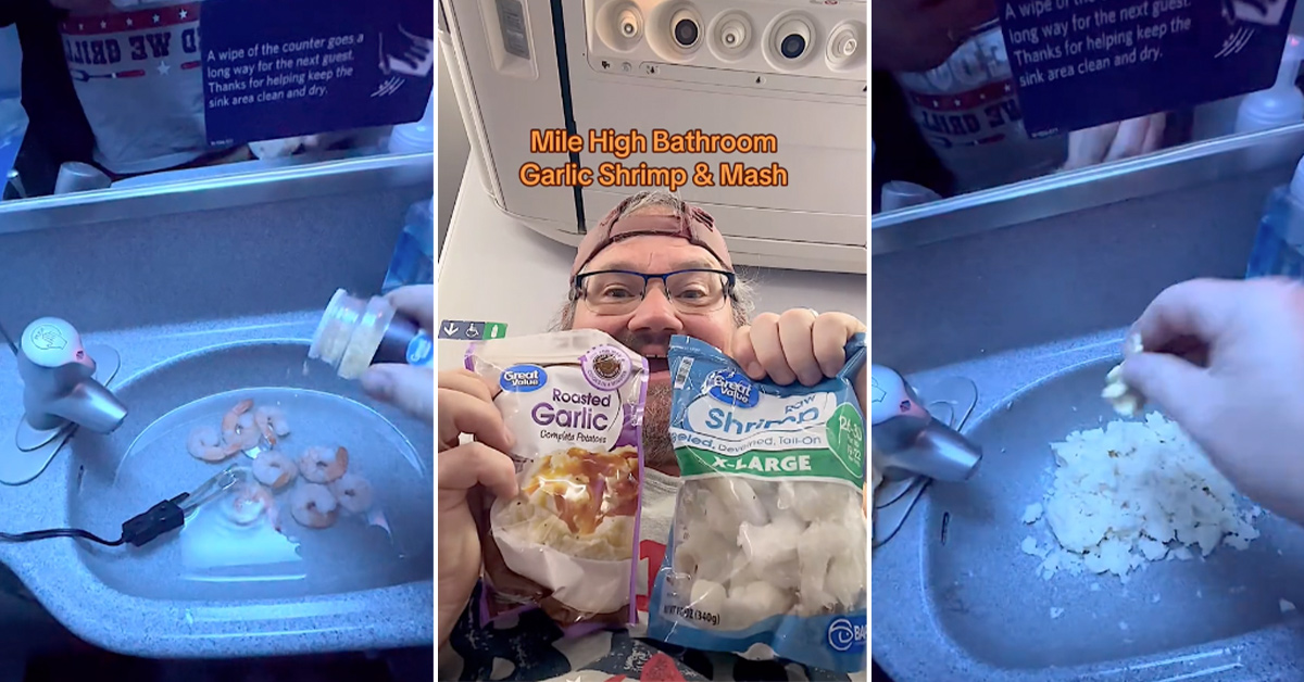 'In A Goddamn Airplane?': Public Menace Makes Shrimp and Mash Potatoes In an Airplane Bathroom