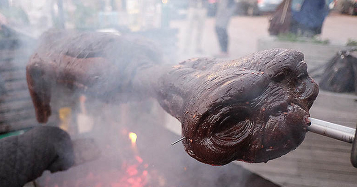 'Ya'll Gonna Barbecue Them': Aliens Are Afraid of Being Eaten By People