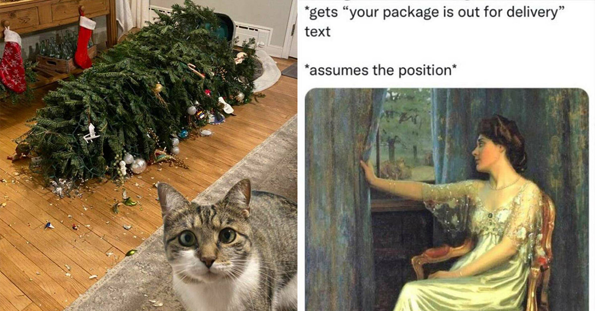 38 Fresh Pics and Memes For Exquisite Minds