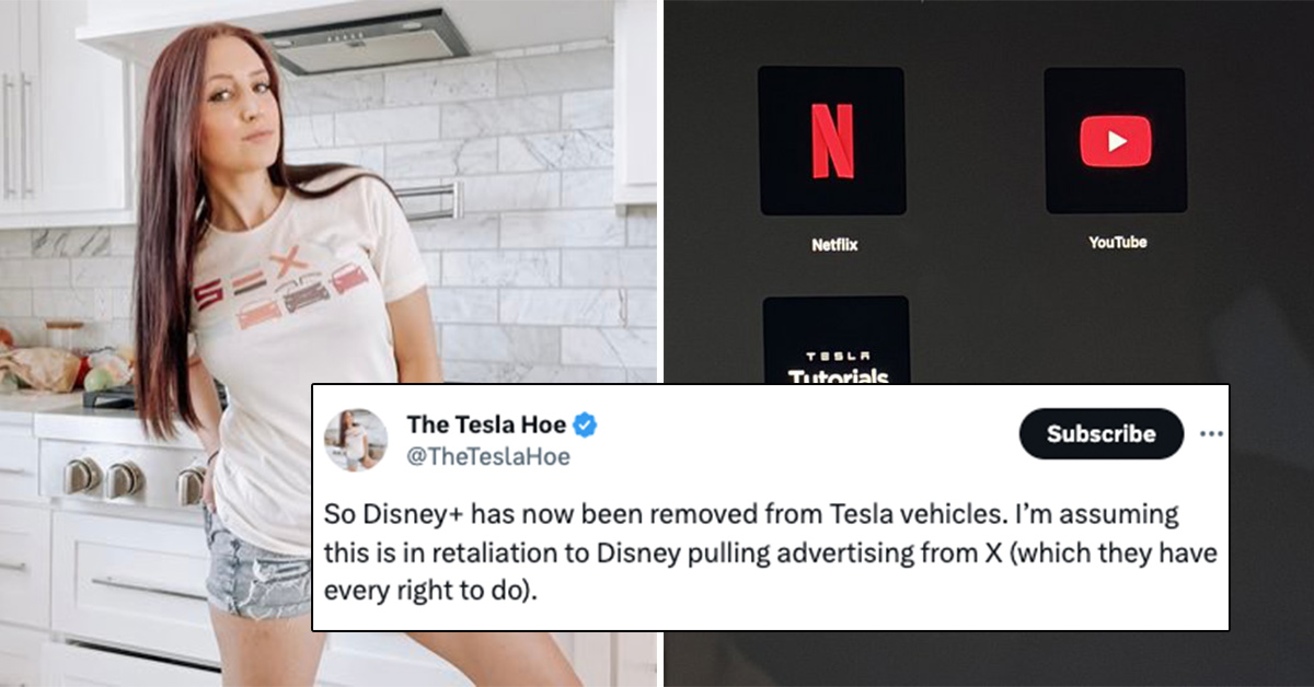 Self-Described ‘Tesla Hoe’ Pissed After Elon Musk’s Beef With Disney Made It Harder to Stream and Drive