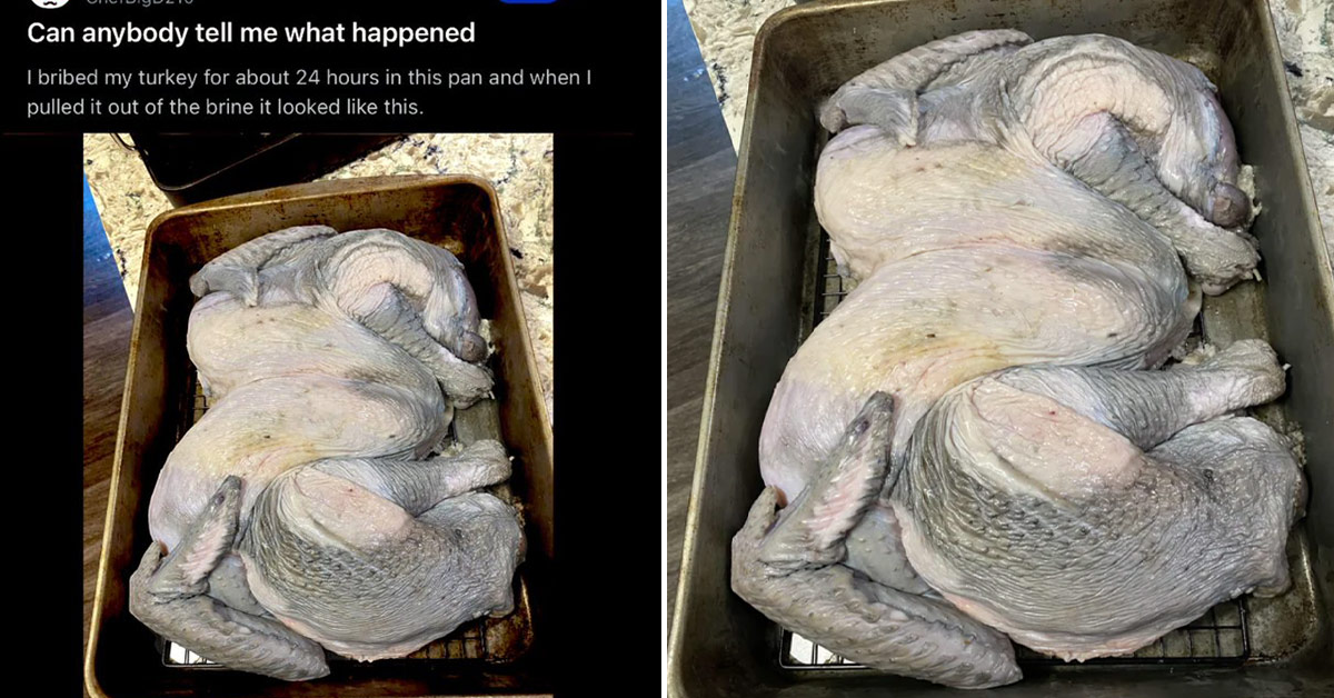 Metal Turkey: Reddit Is Begging Man to Throw Away Turkey That Turned Gray During Brining