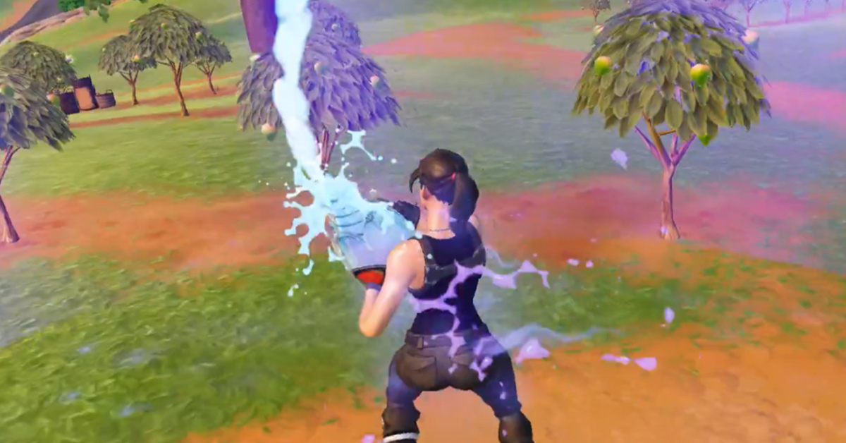 ‘‘Fortnite’ Is Freaky for Adding This Item’: Gamers Wonder Why New ‘Flowberry Fizz’ Item Looks Like Something Else