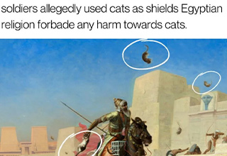 <p>If you're looking for some educational funnies, try these <a href="https://trending.ebaumsworld.com/pictures/26-history-memes-that-discovered-the-new-world/87490470/">history memes</a> on for size.&nbsp;</p><p><br></p><p>It's no secret that the conditions inside trenches during World War I were less than ideal. But as one meme here depicts, even the enemy forces capturing those trenches were often appalled at the conditions their foes were forced to live in. Rats, diseases and famine were almost just as big a risk to soldiers on the Western Front as the shockingly high-casualty warfare they were forced to endure. German trenches on the other hand were deeper and more sophisticated, with drainage systems, defense turrets, and concrete reinforcements often included. Still, trench warfare on either side was about as low a form of existence as humanity has ever endured. &nbsp;</p><p><br></p><p>Speaking of costly tactics, the Persian army decided to use live cats as a weapon against the Egyptians, knowing the deity role our favorite pet played in their society. As a result, the Egyptians were hesitant to engage enemy soldiers with painted, and possibly real cats on their shields. The tactic led to a Persian victory. As one meme in this gallery says, "Ancient problems require ancient solutions." Check out those memes, and 19 more in this gallery of funny history memes.&nbsp;</p>