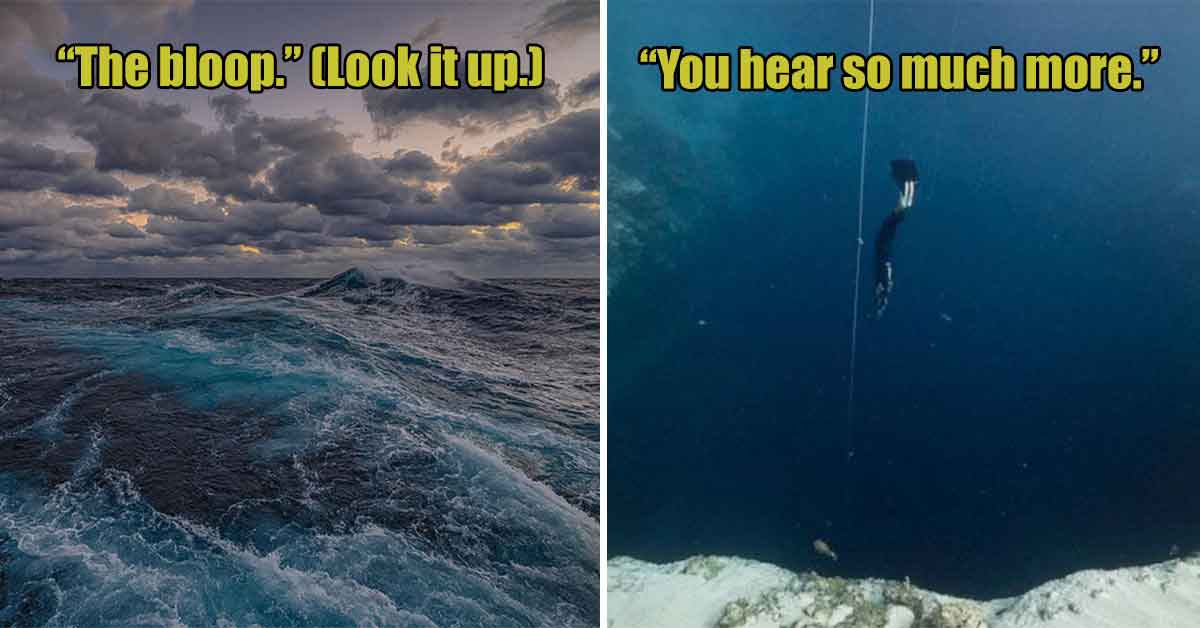 The Deep Dark Blue: 23 Terrifying Facts About the Open Ocean