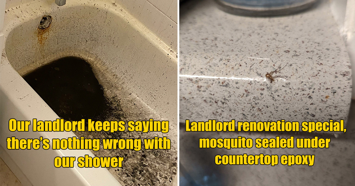 26 Awful Landlords Who Deserve a Piece of Their Own Medicine