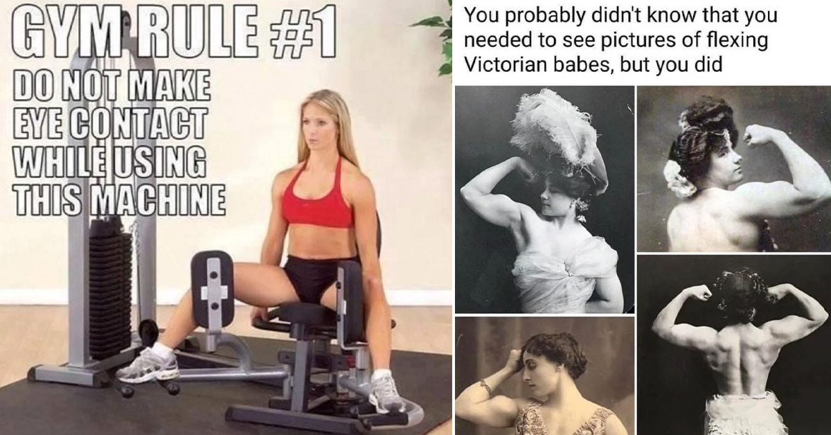 28 Gym Memes to Help You Get Those Gainz