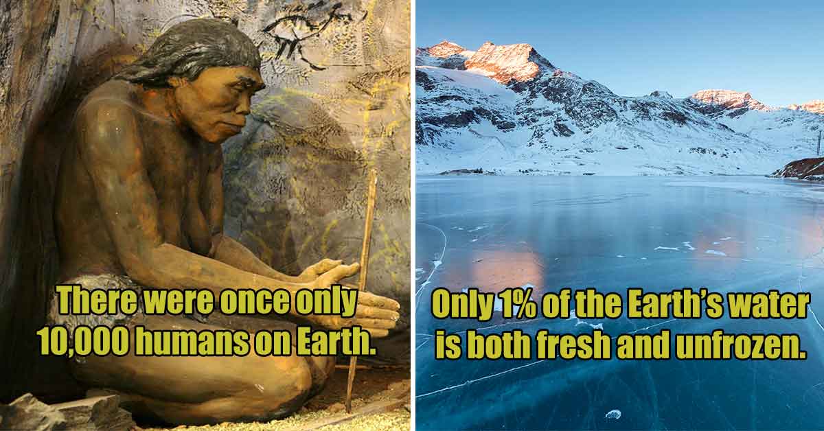 22 Little-Known Facts That Will Change How You See the World