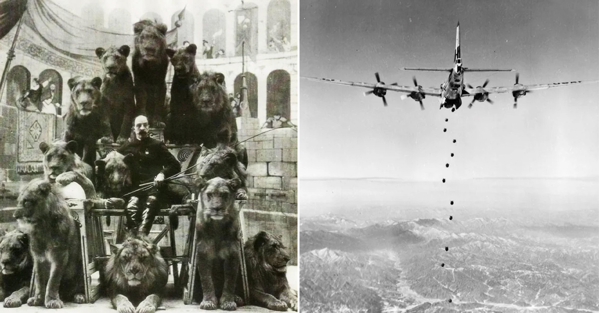 20 Historical Photographs They Don't Show in School