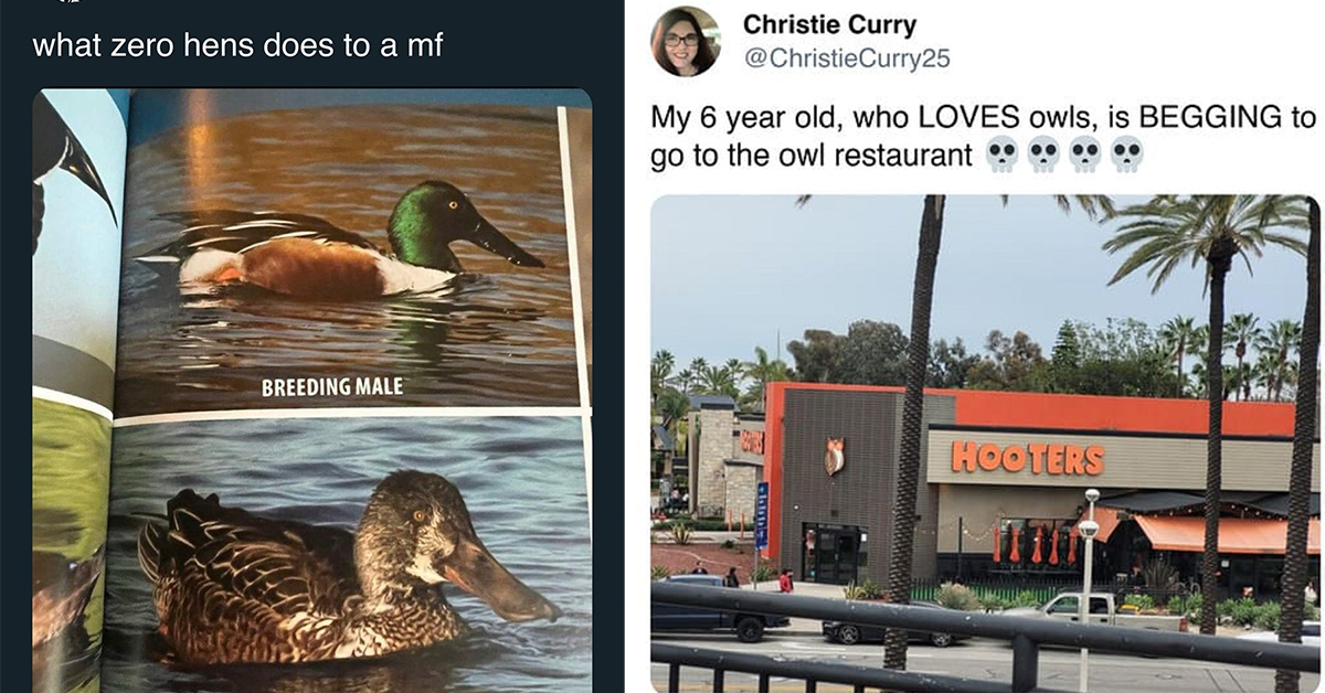 41 Funny and Fresh Tweets That Hit Different This Week
