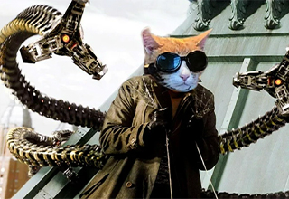 Epic Photoshop Battle of a Cat Getting Laser Treatment Yields Some Incredible Edits