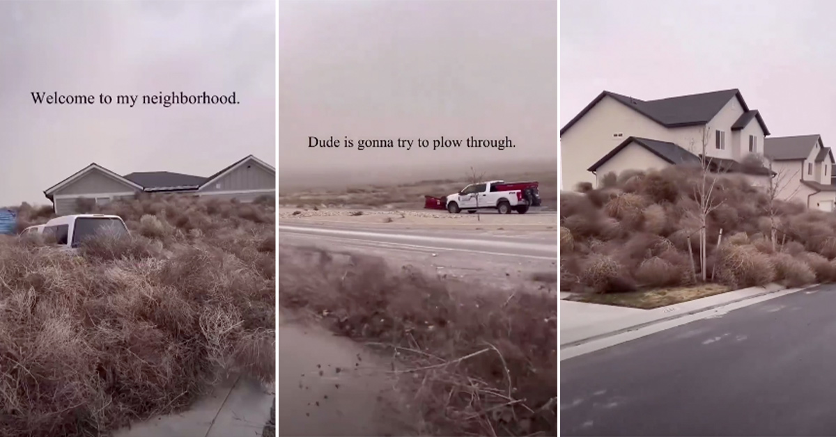 Massive Tumbleweed Storms Engulfs Utah Suburbs and Shuts Down Roadways