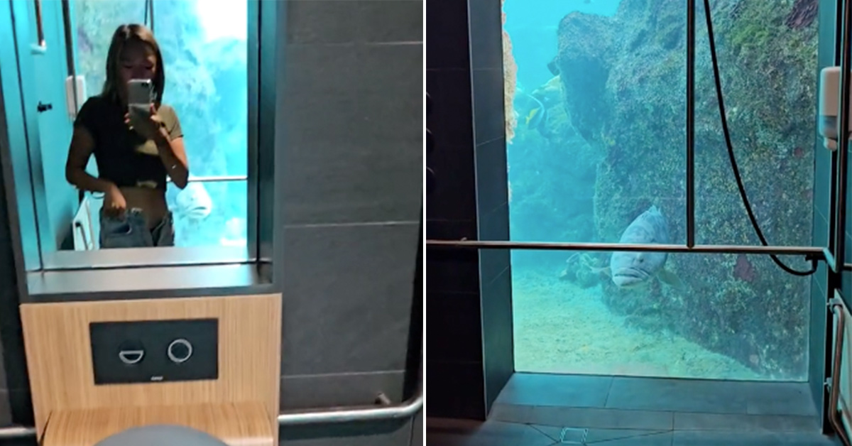 At This Australian Resort, the Fish Watch You Piss