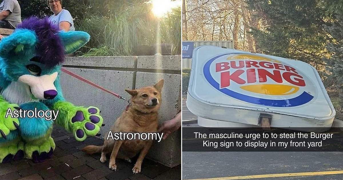 Astrology -  Astronomy -  fury trying to pet a dog -  burger king sign on the ground