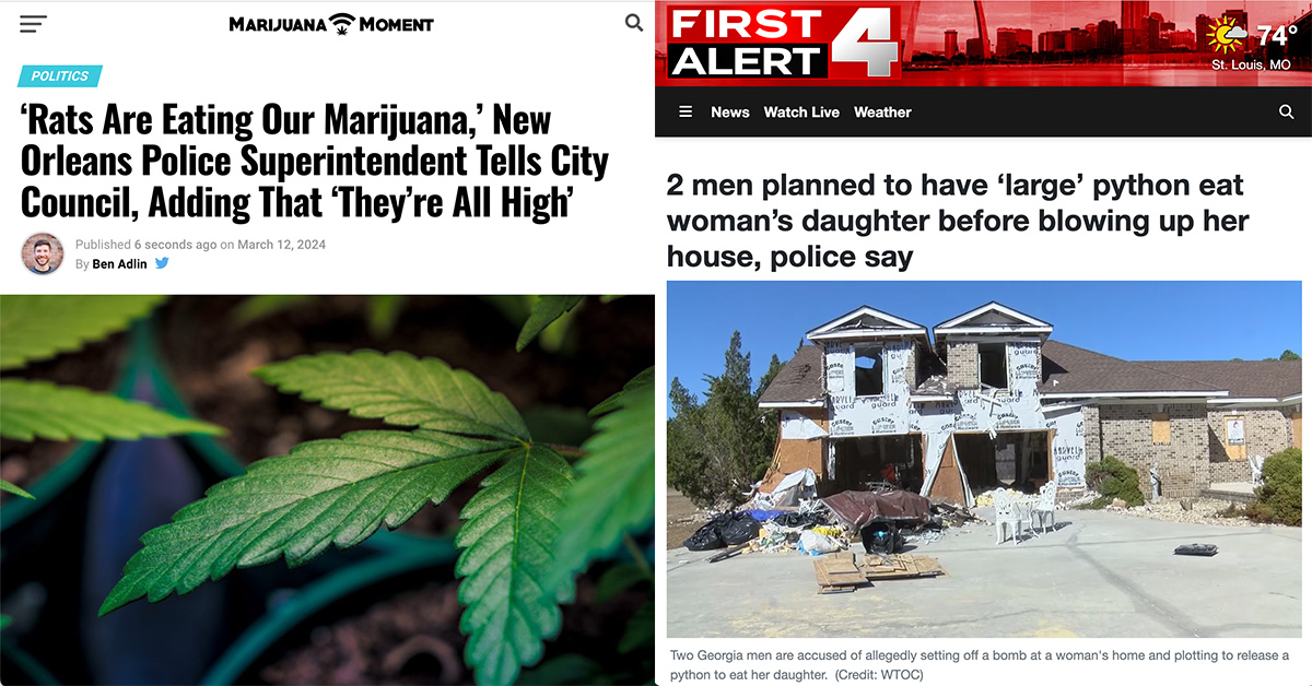 15 Very Deranged and Very Real Headlines 