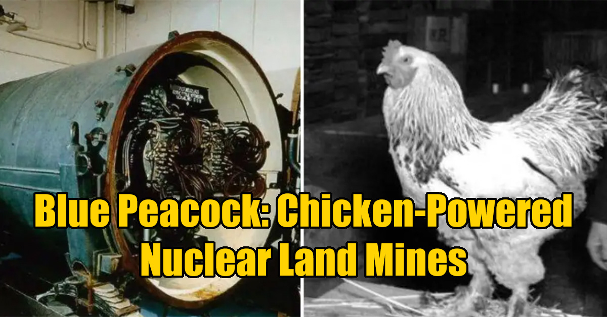 12 Weird Military Plans That Never Panned Out