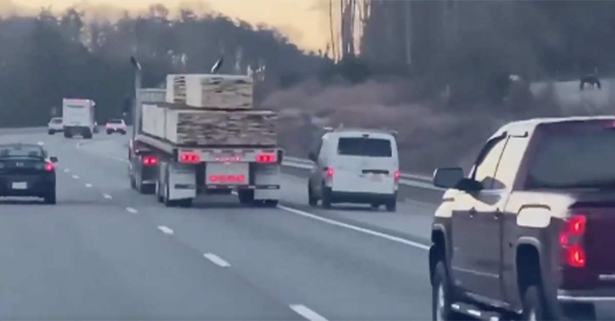 Road-Raging Handyman Tries to Drive Car Off the Road