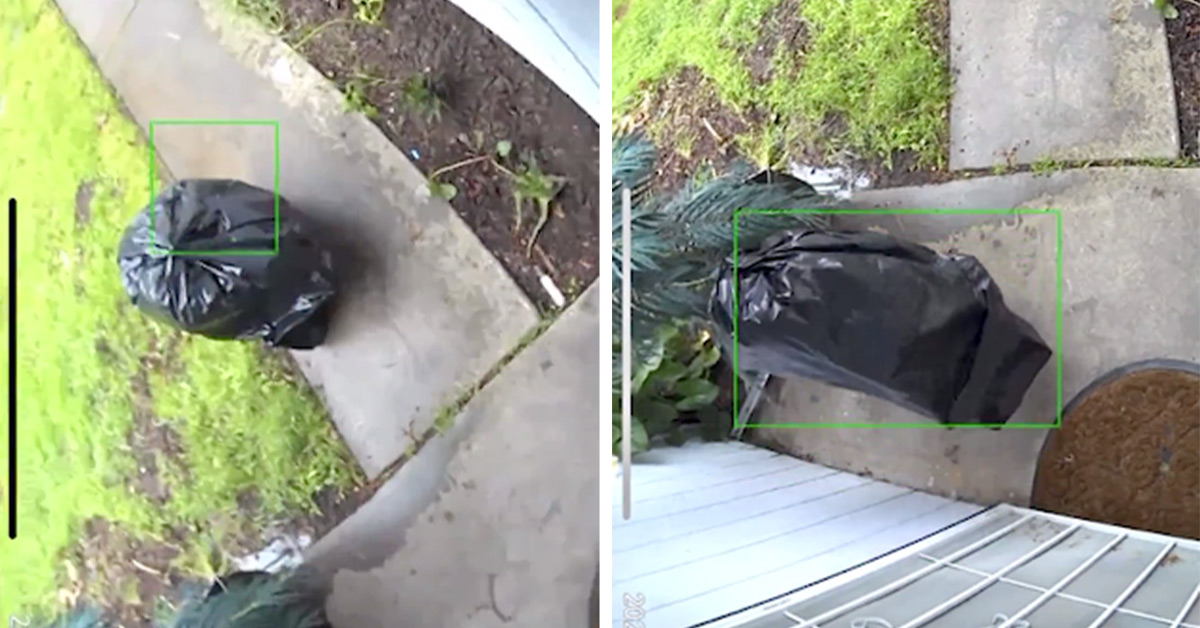 Man Dresses As Trash Bag to Steal Amazon Packages