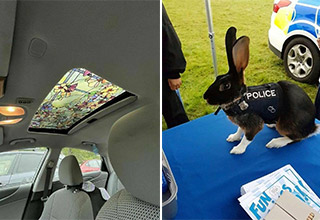 <p>You know the drill. It&#39;s time to get random.&nbsp;</p><p><br></p><p>Get in here, we&#39;re looking at random pics online. From police rabbits to cars with stained glass sunroofs, here are some fun photos to give you an ocular journey of random proportions.&nbsp;</p><p><br></p><p>You should be thankful that you were born in the time of the internet. Born too late to explore the world, born too soon to explore the universe, and born just in time to stare at cool pics on the internet.&nbsp;</p>