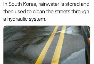 <p>The world is even more wonderful than you know.&nbsp;</p><p><br></p><p>Open your eyes and see all the weird and wild things the world has to offer. From being able to touch both North America and Europe at the same time to South Korea's ingenuous idea of using rainwater to clean their roads, this collection of fascinating photos will do more for you than just keep you entertained.&nbsp;</p><p><br></p><p>And just for good measure, there are a few cute pictures of turtles because who doesn't love turtles?&nbsp;</p>