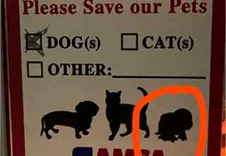 <p>Signs exist to convey rules and information in a concise and easily understandable way, but many signs can definitely use a bit of a redesign.&nbsp;</p><p><br></p><p>These 20 people turned to the internet to answer the question, "What is this?" after coming across inexplicable items and notices in the wild. Unfortunately, we're just as confused as they are.&nbsp;</p><p><br></p><p>Do you have any idea what the heck is going on in these photos?</p>