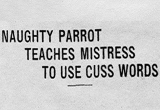 <p dir="ltr">Before we all mindlessly stared at our screens, we all mindlessly stared at newspapers. And turns out, they had their own version of weird funny tweets and memes back then. Some vintage headlines read like clickbait straight out of Reddit, and bits of local news or statements would genuinely make really great Tweets.</p><p data-empty="true"><br></p><p dir="ltr">Shout out to @YesterdaysPrint on Twitter for finding a lot of these great clips. Some of these would never be printed today. Outdated offensive language, words that have changed meanings, and some words that are just plain weird. It’s all fascinating and funny.</p>