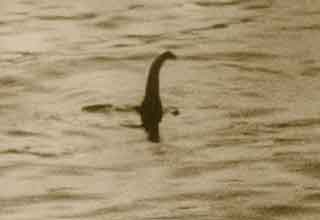 <p>Cryptids are infamous terrestrial animals that come from legend but have never been irrefutably proven to exist. But whether they're real or not, thousands of people are still obsessed with creatures like Bigfoot and the Loch Ness Monster and dedicate portions of their lives to snapping that one conclusive photo.&nbsp;</p><p><br></p><p>Here are 16 of the most famous alleged photos of cryptids.&nbsp;</p>