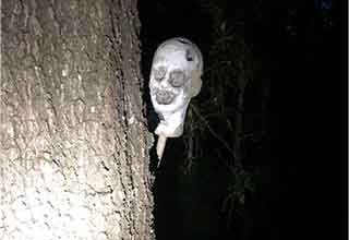 <p>There is a reason that nightmarish characters from cultures around the world come out at night in the woods: The woods are freaking scary!&nbsp;</p><p><br></p><p>But some people enjoy a good walk through the trees and are ready for whatever horrors they might find. Here are 22 of the creepiest real photos from deep in the woods.&nbsp;</p>