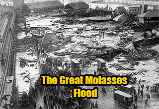 <p>While the vast majority of history may consist of stoic tales of war, treaties, and tragedy, sometimes our ancestors got a little weird with it. Enter the Great Molasses flood, Benjamin Franklin's rumored ban from writing the Declaration of Independence, and Lewis and Clark's apparent worry about woolly mammoths.&nbsp;</p><p><br></p><p>From duking it out with Australian emus to the bizarre history of potatoes as we know and love them, here are 18 insanely goofy facts from history..&nbsp;</p>