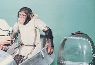 <p dir="ltr">As humans geared up for the space race, they didn’t want to risk their lives first, so they turned to monkeys. The first monkey the United States sent into space was Albert, who may have died before the rocket ever launched. The next one, &nbsp;Albert II, who didn’t even get his own name, made it to space but died while coming back.&nbsp;</p><p data-empty="true"><br></p><p dir="ltr">The first monkey in space who came back and lived to tell the tale was Miss Baker, a squirrel monkey, in 1958. She became famously known as the “Monkeynaut.”</p><p data-empty="true"><br></p><p dir="ltr">The Soviet Union didn’t even try sending monkeys into space until the 1980s and stopped immediately after one died. The U.S. however, tried and tried again. Eventually, the monkey space program was shuttered because it was “inhumane” and “objectively bad.” But regardless, there are still some really cool photos from it.</p>