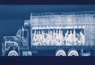 <p>Cartels will do whatever it takes to smuggle drugs and contraband, while migrants will do whatever it takes to escape their home countries. And while each group is alarmingly adept at accomplishing their goals, border patrols are putting modern technology to use to stop them.&nbsp;</p><p><br></p><p>The X-ray is one of the most powerful tools at their disposal, and whether searching a truck for people or a mule for drugs, it sees right through deception.&nbsp;</p><p><br></p><p>Here are 21 photos of x-rays that did their job, and helped catch the smugglers.&nbsp;</p>