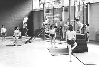 <p>Gym class or physical education as it's known on NPR, is an amalgamation of state administered tests, safety-first dodgeball games, and zero-elimination layup lines, where participation is all but optional.&nbsp;</p><p><br></p><p>School systems once took fitness seriously. From difficult calisthenics, to literal boot camps, to lots and lots of ropes, here are 23 photos of gym classes from the '60s and '70s.&nbsp;</p>