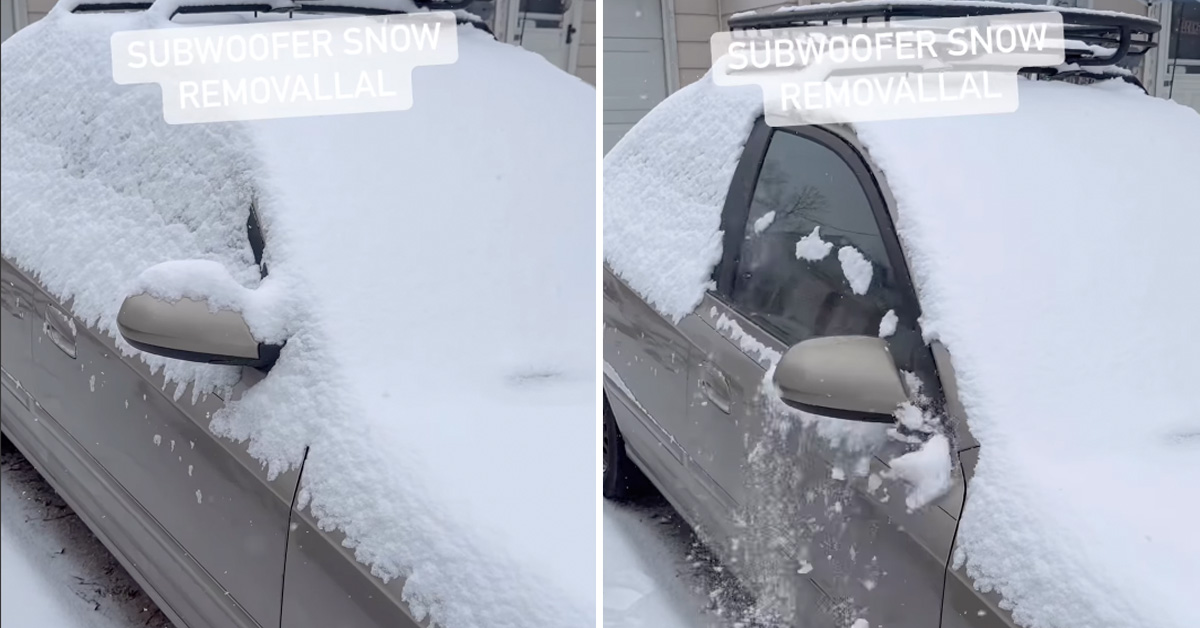 Man Tries to Remove Snow from Car Using Only His Subwoofer