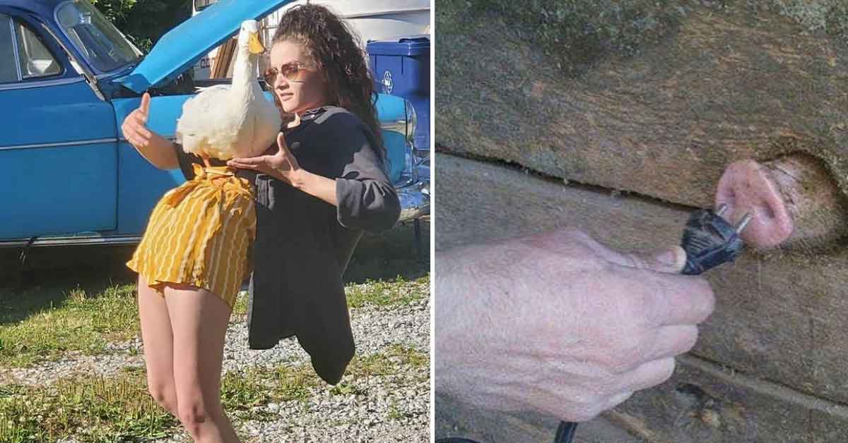 25 Photos That Just Might Be Over The Line